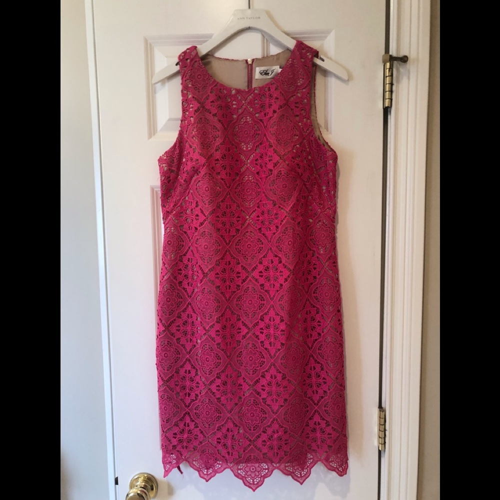 Eliza J Fushia Lace above the Knee Dress